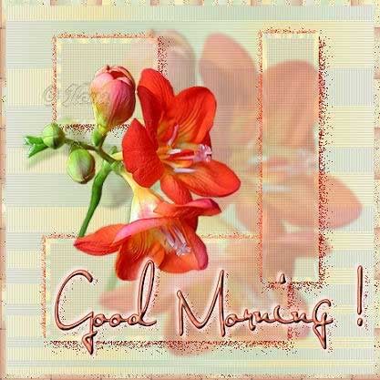 Good Morning Graphics @ twitkut.com