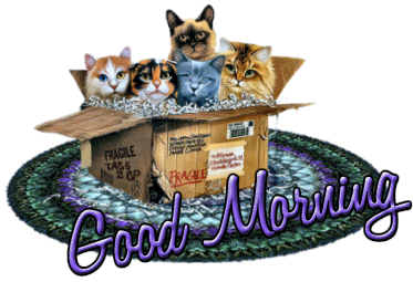 Good Morning Graphics @ twitkut.com