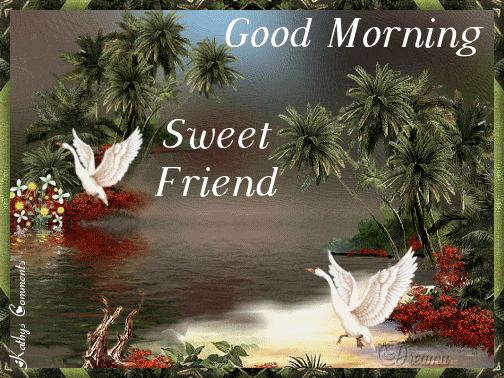 Good Morning Graphics @ twitkut.com