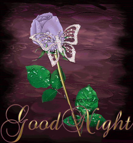Good Night Graphics @ twitkut.com