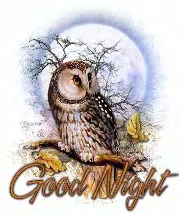 Good Night Graphics @ twitkut.com