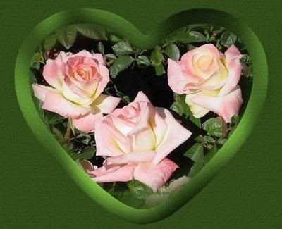 Heart Graphics @ twitkut.com