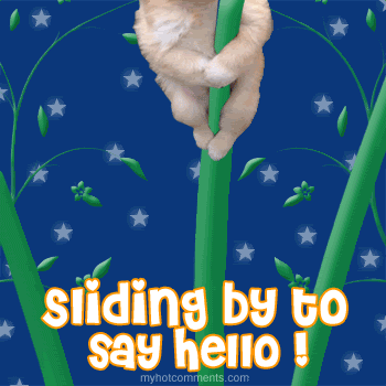 Hello and Hi Graphics @ twitkut.com