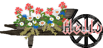 Hello and Hi Graphics @ twitkut.com