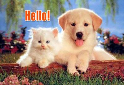 Hello and Hi Graphics @ twitkut.com