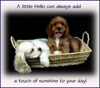 Hello and Hi Graphics @ twitkut.com