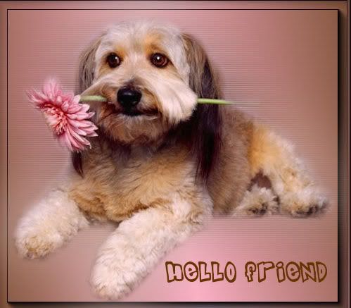 Hello and Hi Graphics @ twitkut.com