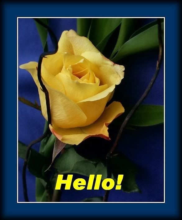 Hello and Hi Graphics @ twitkut.com