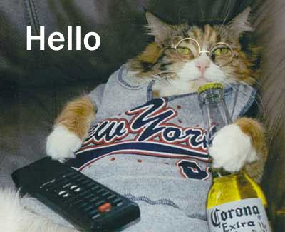 Hello and Hi Graphics @ twitkut.com