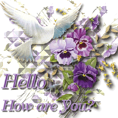 Hello and Hi Graphics @ twitkut.com