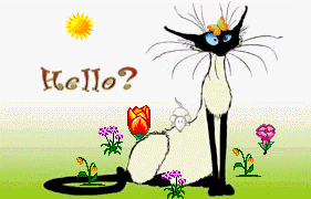 Hello and Hi Graphics @ twitkut.com