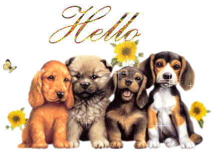 Hello and Hi Graphics @ twitkut.com