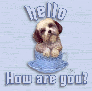 How Are You Graphics @ twitkut.com