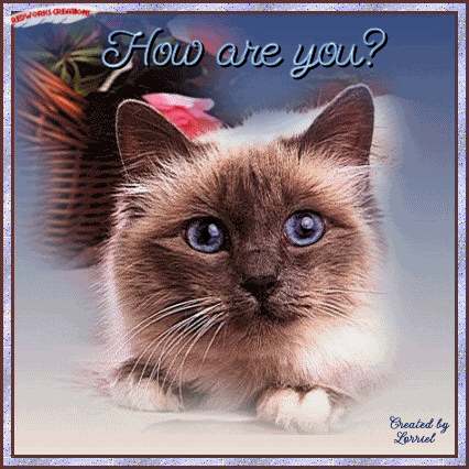 How Are You Graphics @ twitkut.com