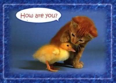 How Are You Graphics @ twitkut.com