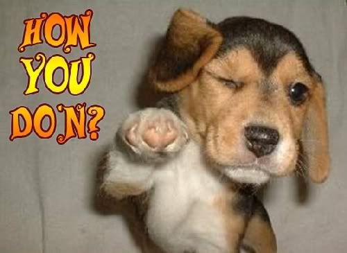 How Are You Graphics @ twitkut.com