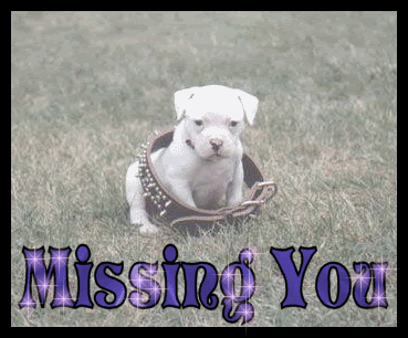I Miss You Graphics @ twitkut.com