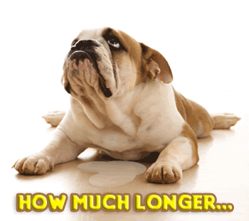 I Miss You Graphics @ twitkut.com