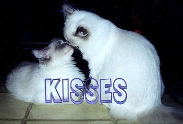 Kisses Graphics @ twitkut.com