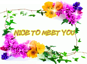 Nice to Meet You Graphics @ twitkut.com