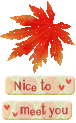 Nice to Meet You Graphics @ twitkut.com