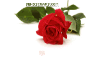 Nice to Meet You Graphics @ twitkut.com