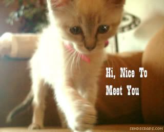 Nice to Meet You Graphics @ twitkut.com