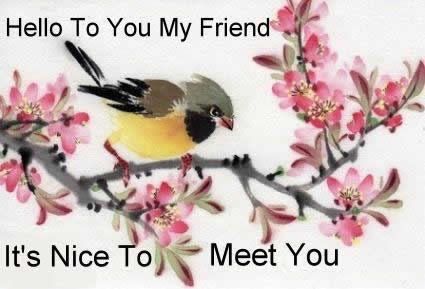 Nice to Meet You Graphics @ twitkut.com