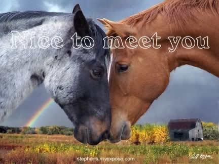 Nice to Meet You Graphics @ twitkut.com
