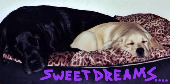 Sweet Dreams Graphics @ twitkut.com