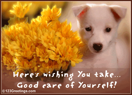 Take Care Graphics @ twitkut.com