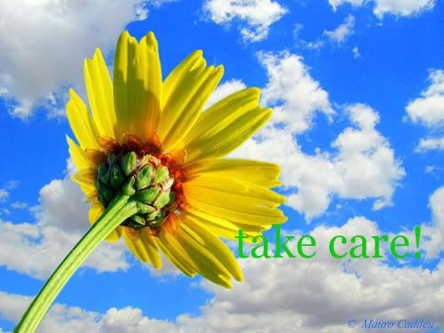 Take Care Graphics @ twitkut.com