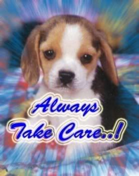 Take Care Graphics @ twitkut.com