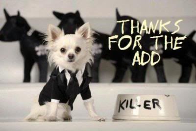 Thanks For The ADD Graphics @ twitkut.com