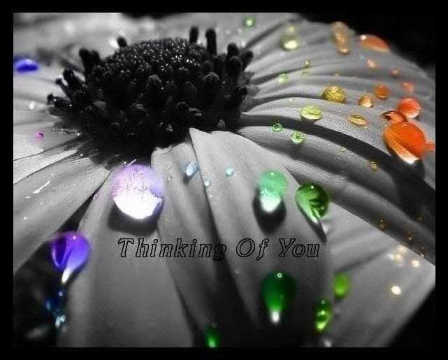 Thinking of You Graphics @ twitkut.com