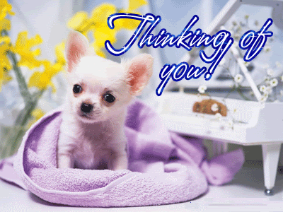 Thinking of You Graphics @ twitkut.com