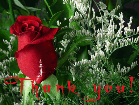 Thank You Graphics @ twitkut.com
