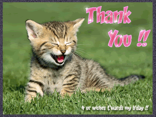 Thank You Graphics @ twitkut.com