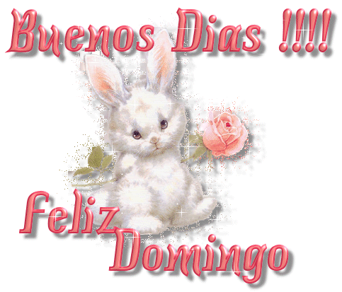  Feliz Domingo Comentarios 