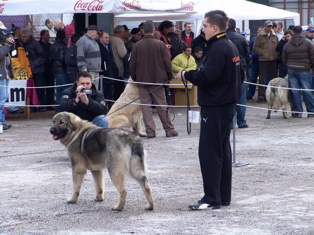 Tetovo1.jpg