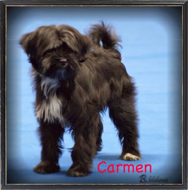 carmen-1.jpg