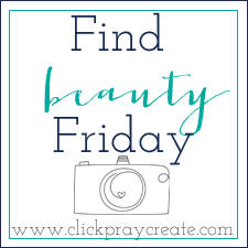 Click, Pray, Create: Find Beauty Friday