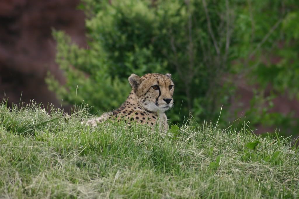 IMAGE: http://i272.photobucket.com/albums/jj195/dr_mitch/IMG_8127.jpg