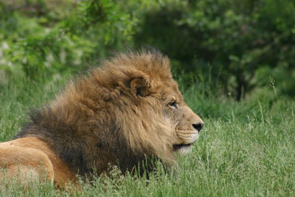 IMAGE: http://i272.photobucket.com/albums/jj195/dr_mitch/IMG_8132.jpg