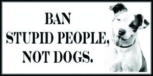 animal cruelty Pictures, Images and Photos