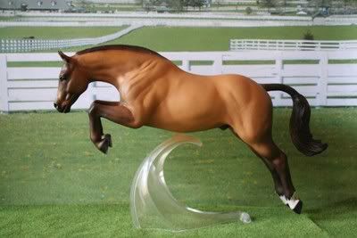 staccato.jpg AL Staccato - MB - Buckskin Welsh B Pony Gelding - CM Breyer Newsworthy - atlantic_lodge image by stonewolfcreationsshows staccato.jpg AL Staccato - MB - Buckskin Welsh B Pony Gelding - CM Breyer Newsworthy - atlantic_lodge image by stonewolfcreationsshows