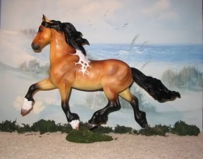 BuckysDiamondEB.jpg Bucky's Diamond (EB) CM Buckskin Tobiano Gypsy Vanner Stallion (CM Goffert) image by stonewolfcreationsshows BuckysDiamondEB.jpg Bucky's Diamond (EB) CM Buckskin Tobiano Gypsy Vanner Stallion (CM Goffert) image by stonewolfcreationsshows