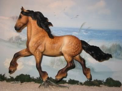 ButtermilkEB3.jpg Buttermilk (EB) CM Dappled Buckskin Friesian Sporthorse Stallion (CM Goffert ... Friesian x Quarter Horse) image by stonewolfcreationsshows ButtermilkEB3.jpg Buttermilk (EB) CM Dappled Buckskin Friesian Sporthorse Stallion (CM Goffert ... Friesian x Quarter Horse) image by stonewolfcreationsshows