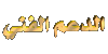 الدعم الفنى الدعم الفنى