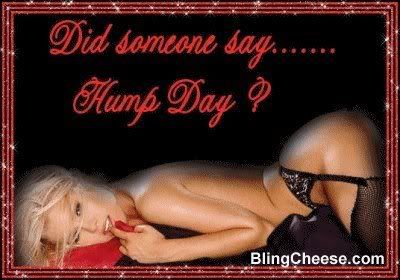 Hump Day Pictures, Images and Photos